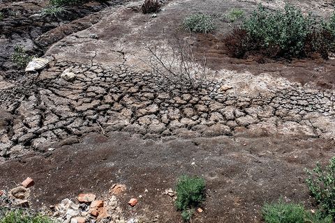 就地掩埋处置 就地掩埋处置