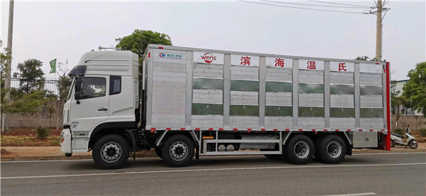 天龙前四后八运猪车